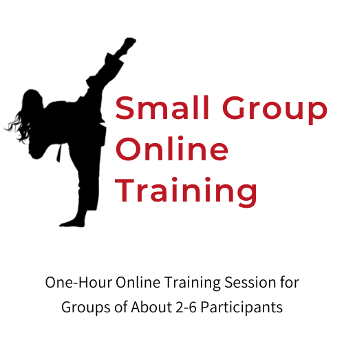 Small Group Online Training