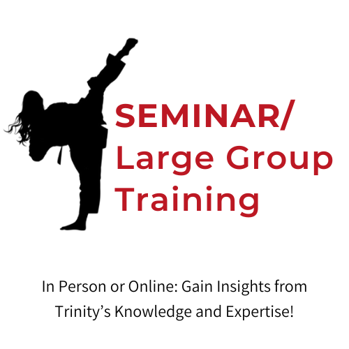 Seminars & Large Group Training